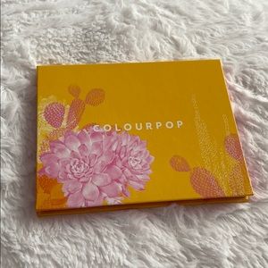 Colourpop eyeshadow palette